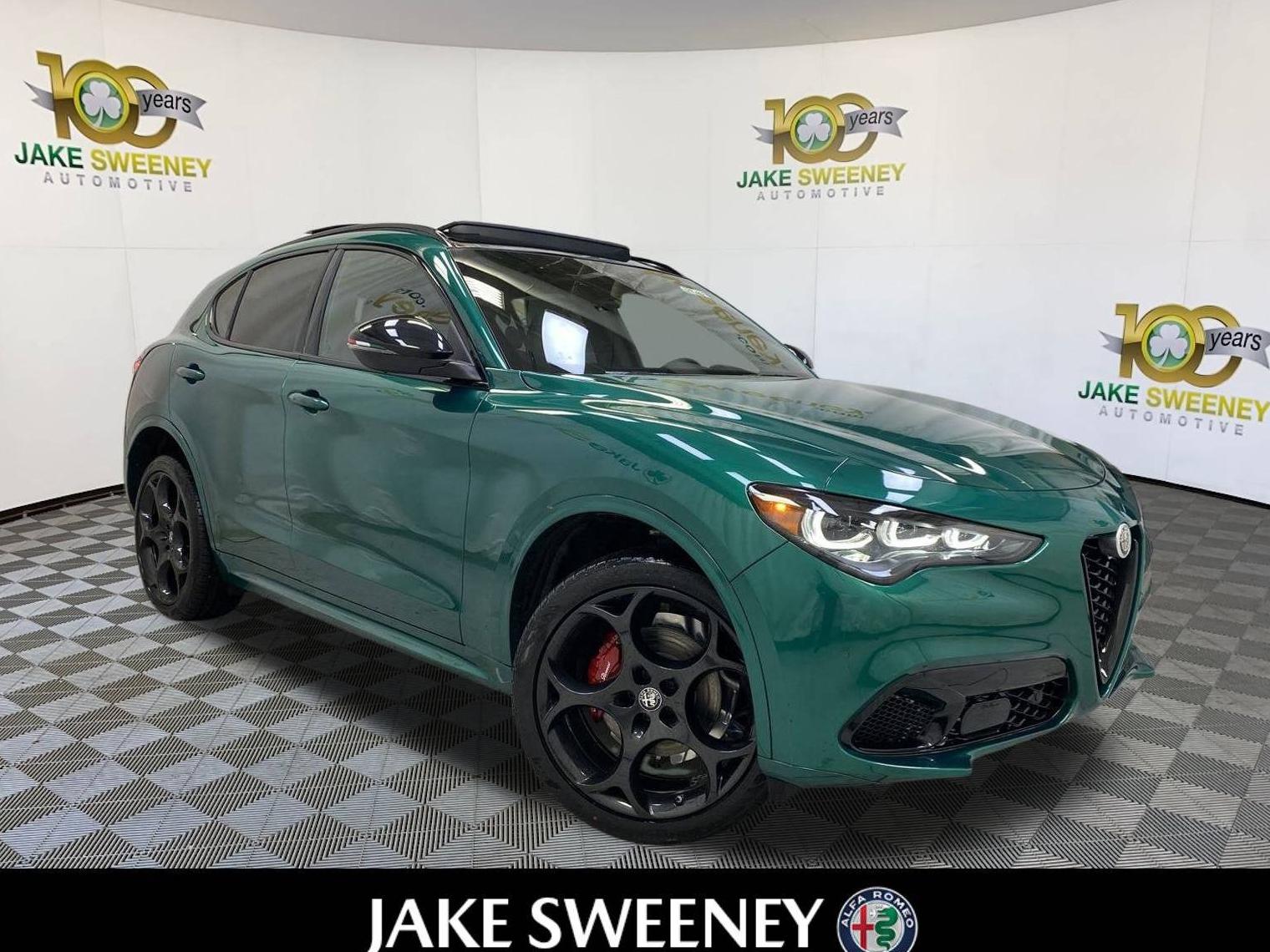 ALFA ROMEO STELVIO 2025 ZASPAKBN3S7D96815 image